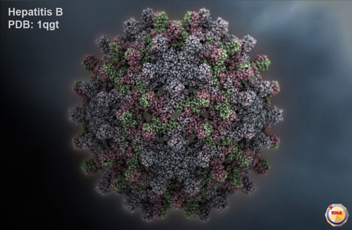 Hepatitis B